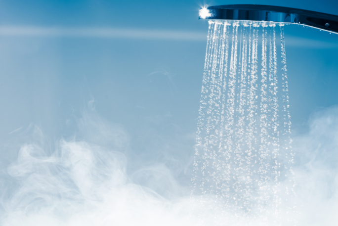 Shower Fix Services Franchise for Sale Northland 