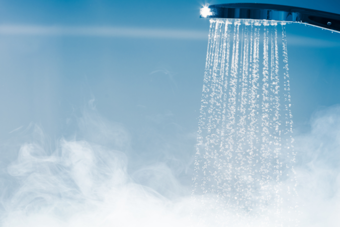 Shower Fix Services Franchise for Sale Wellington